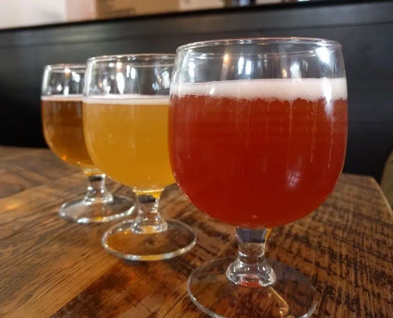 Three beer tastes at Great Divide Brewing in Denver