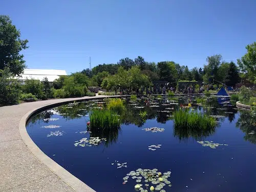 Denver Botanic Gardens