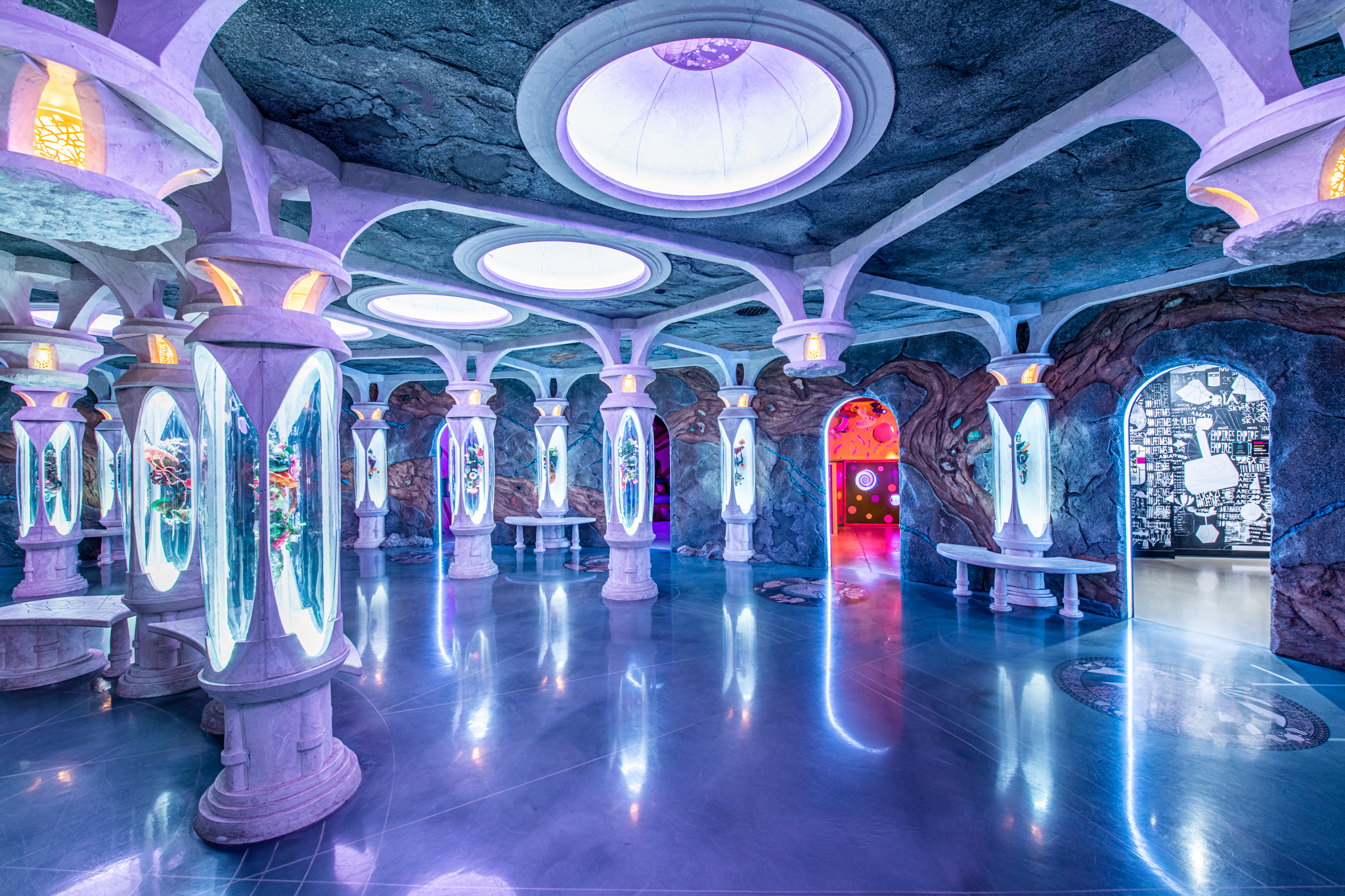 Meow Wolf Denver vs. RiNo Arts District Food Tour: Which Artistic Adventure Suits You?