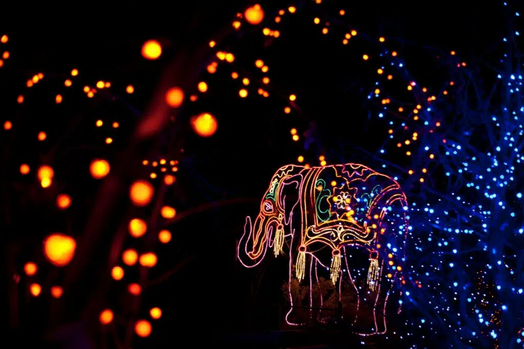 A holiday light display at Denver Zoo, one of the best Denver things to do winter