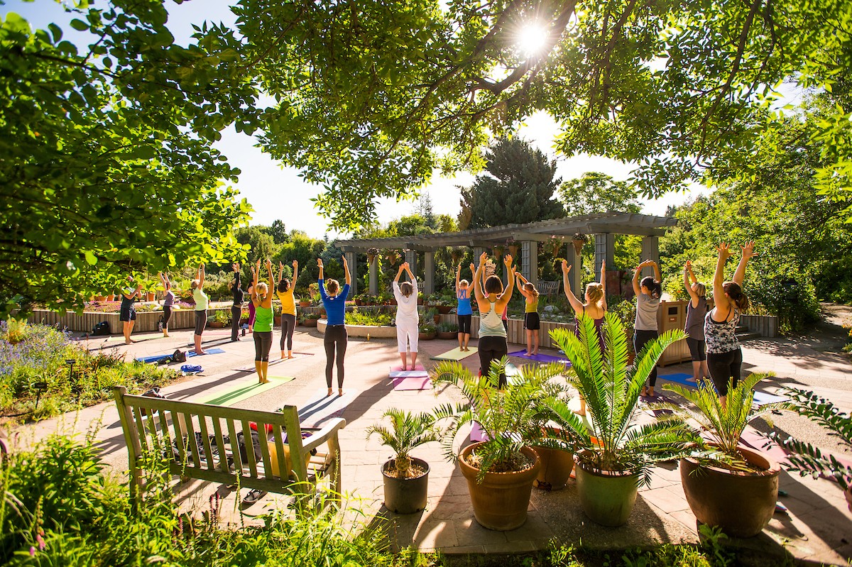 A group taking part in a yoga class at the Denver Botanic Gardens 