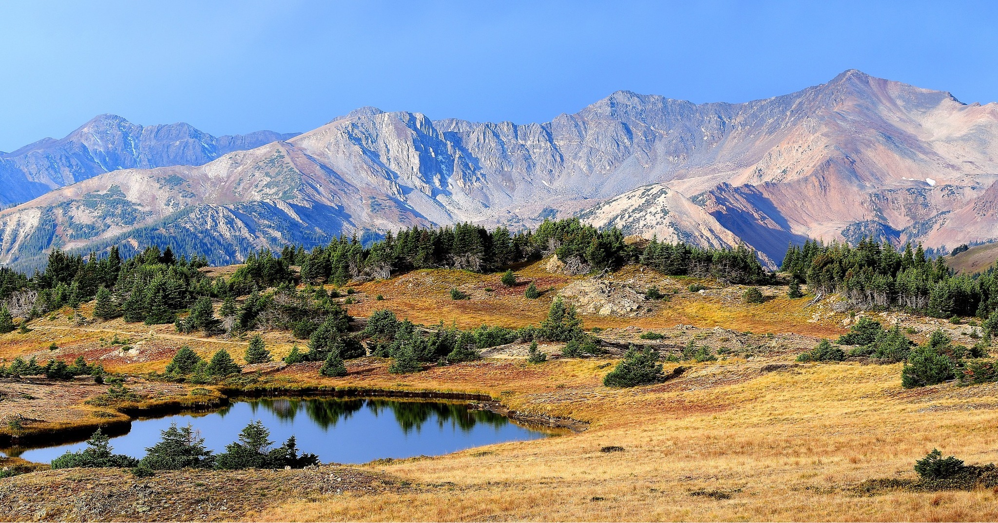 Rocky Mountain Day Trip vs. Denver Food Tour: Nature Escape or Local Flavor?