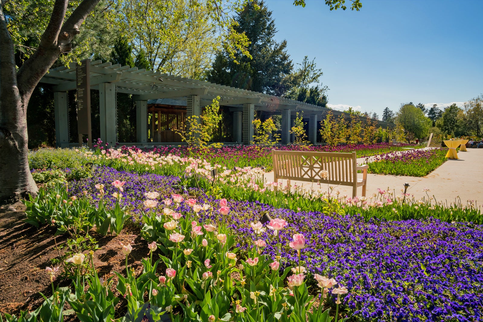 Denver Botanic Gardens vs. Downtown Denver Food Tour: Which Experience Should You Choose?