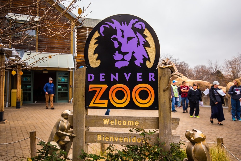 Denver Zoo vs. Downtown Denver Food Tour: Which Experience Should You Choose?
