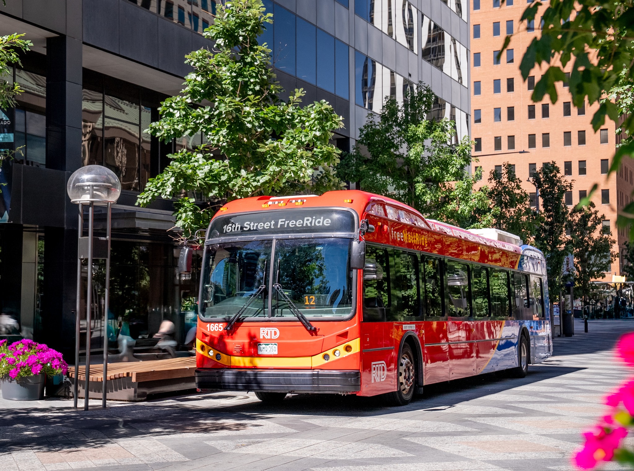 The 16th Street FreeRide bus cruising down the newly renovated strip