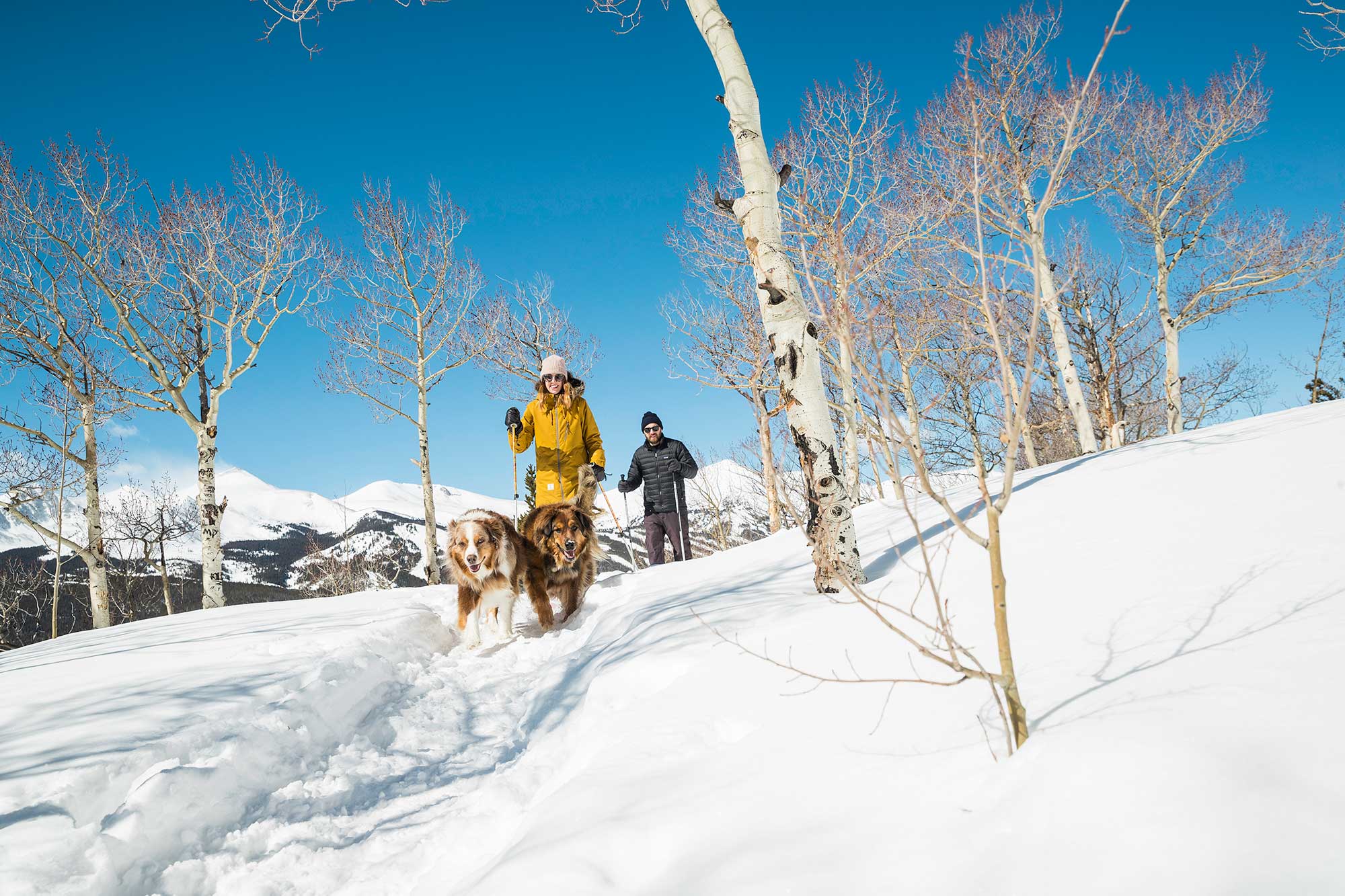 Two people snowshoeing with two dogs in Breckenridge