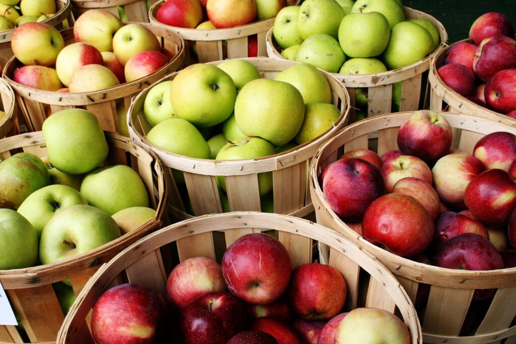 Bushels of apples at Morrison Ciderfest