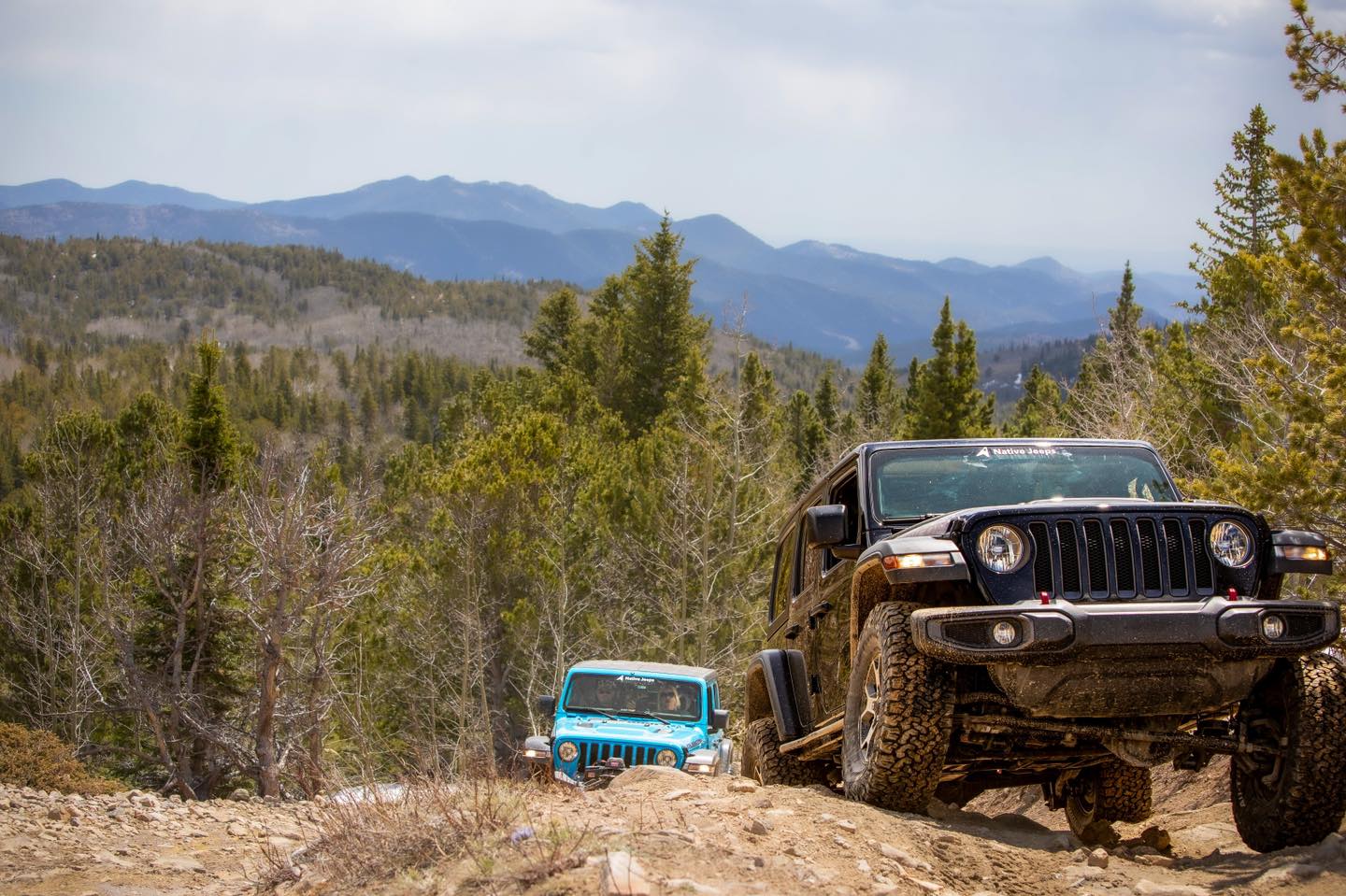 Two Native Jeeps on a dirt road, backdropped by the Rocky Mountains